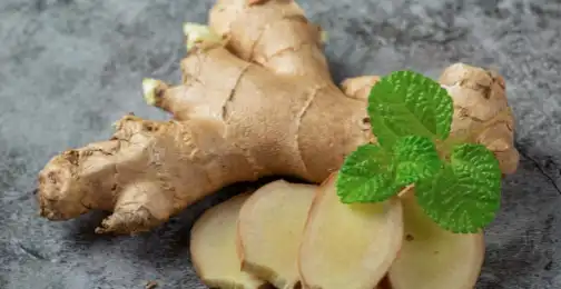 Who should not take ginger extract?